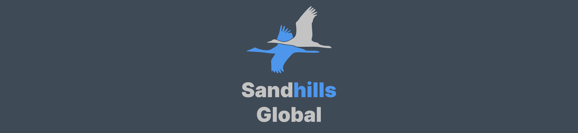 Web Developer - Sandhills Global